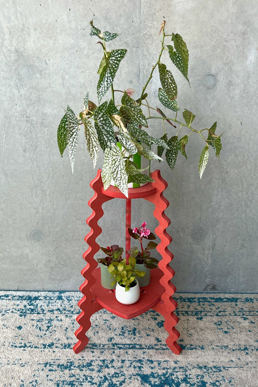 Valentines Special Edition