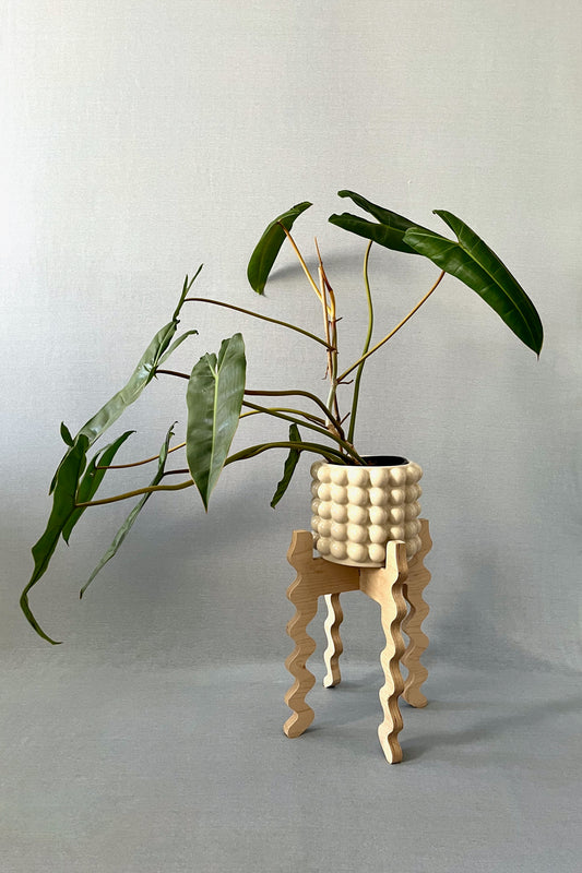 A Xigglie Birch Middie Wide Plant Stand. Australian designed and made in Birch Plywood, supporting plant in ceramic pot.