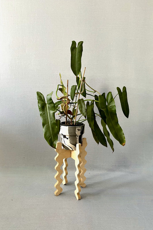 A Xigglie Birch Middie Skinny Plant Stand. Australian designed and made in Birch Plywood, supporting plant in black & white pot.