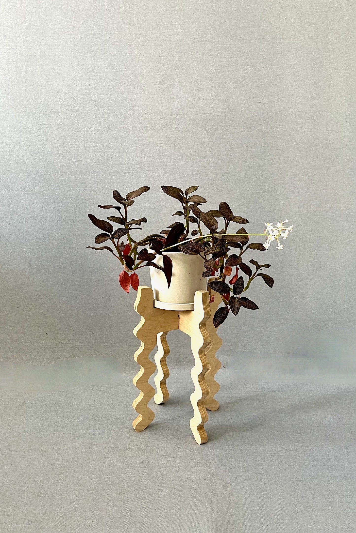 A Xigglie Birch Middie Skinny Plant Stand. Australian designed and made in Birch Plywood, supporting plant in ceramic pot.