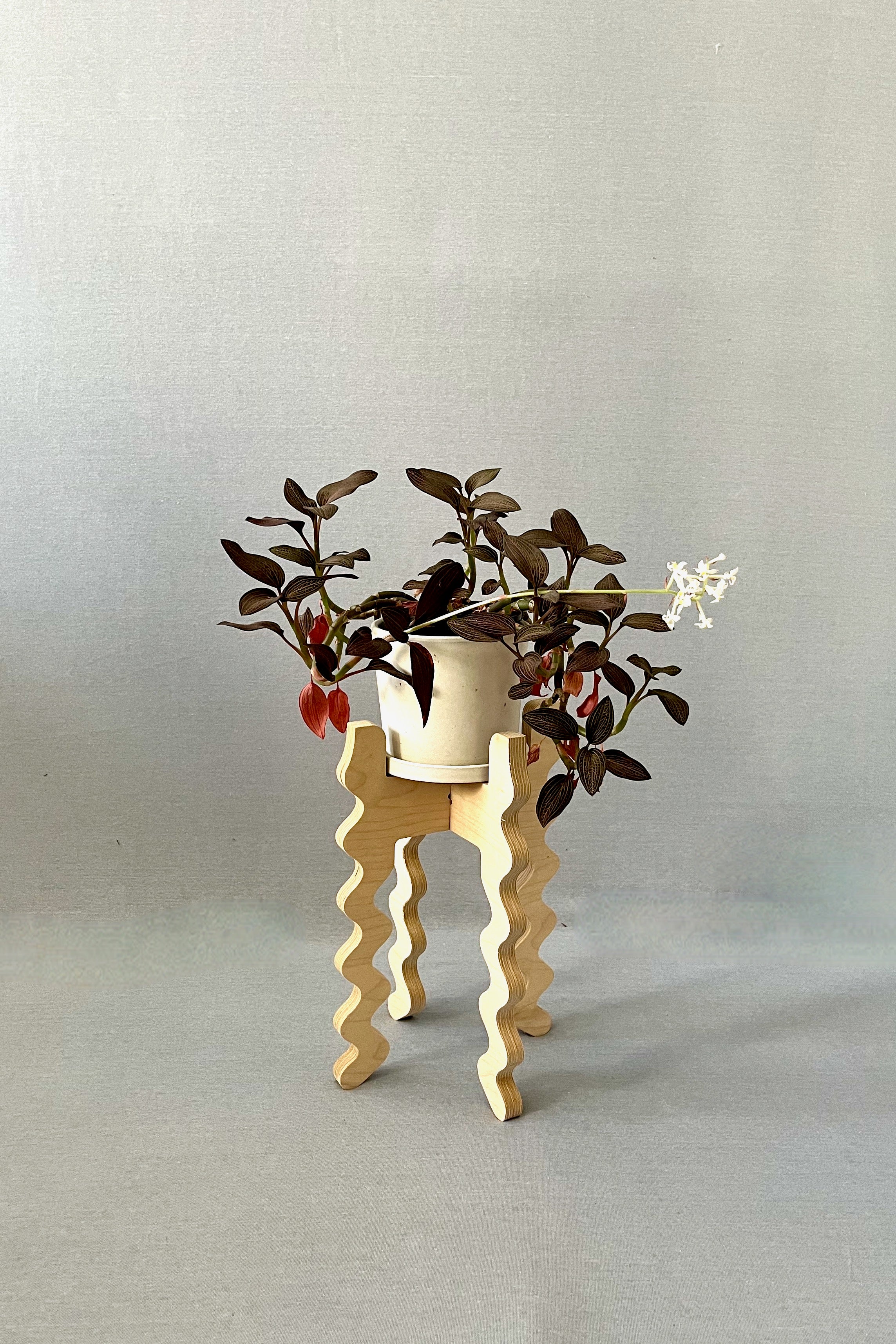 A Xigglie Birch Middie Skinny Plant Stand. Australian designed and made in Birch Plywood, supporting plant in ceramic pot.