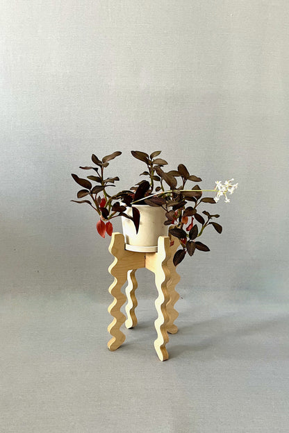 A Xigglie Birch Middie Skinny Plant Stand. Australian designed and made in Birch Plywood, supporting plant in ceramic pot.