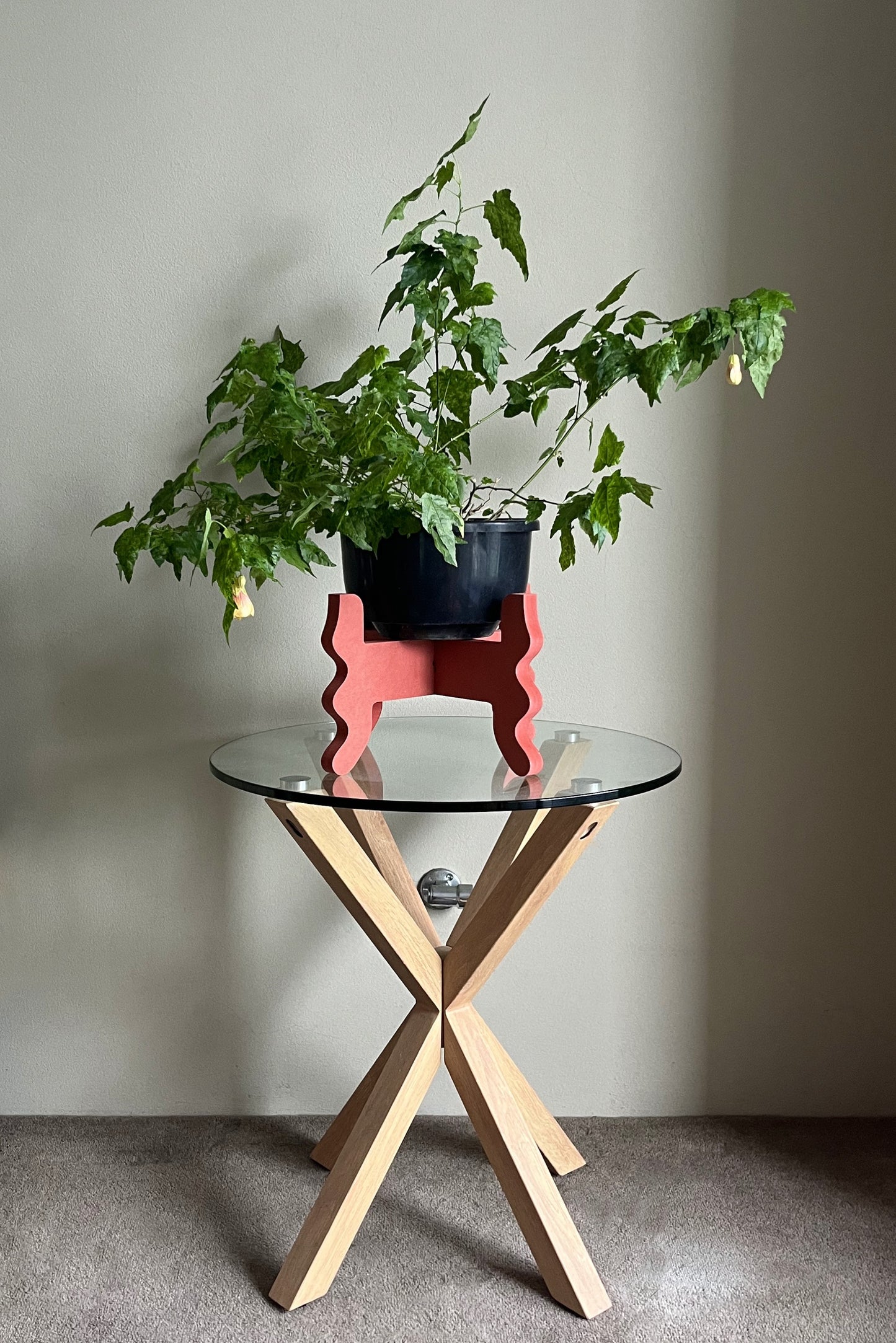 A red coloured Xigglie Poppy Low Rider Plant Stand supporting a potted plant sitting on a glass table.