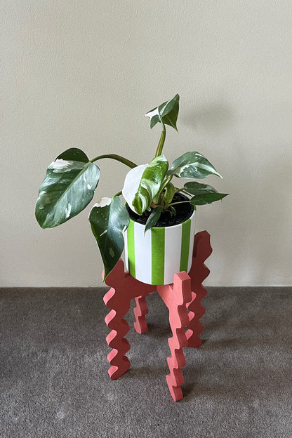 Potted plant on a red wavy Xigglie Poppy Middie Skinny Plant Stand against a plain wall
