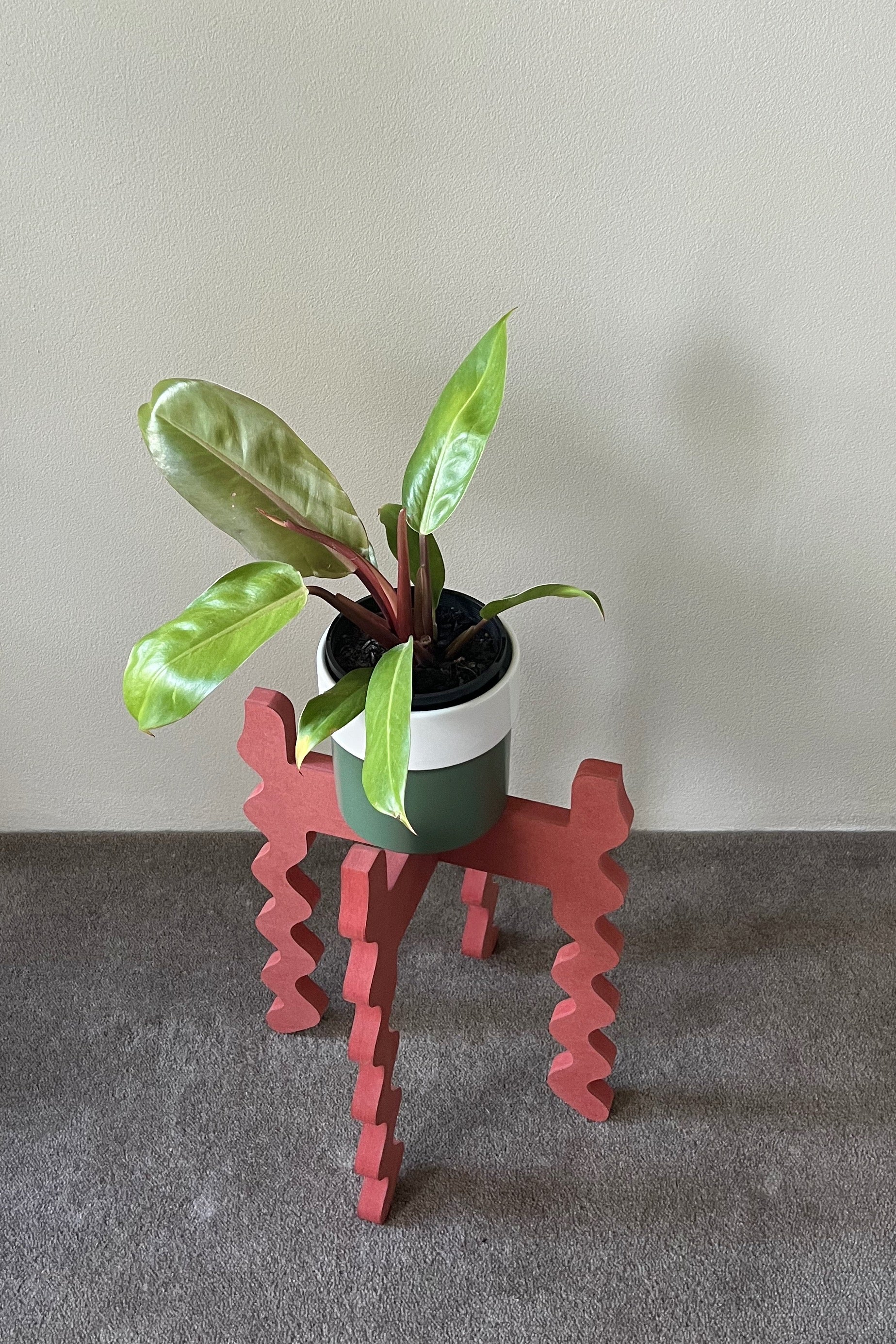 Potted plant on a red wavy Xigglie Poppy Middie Wide Plant Stand against a plain wall