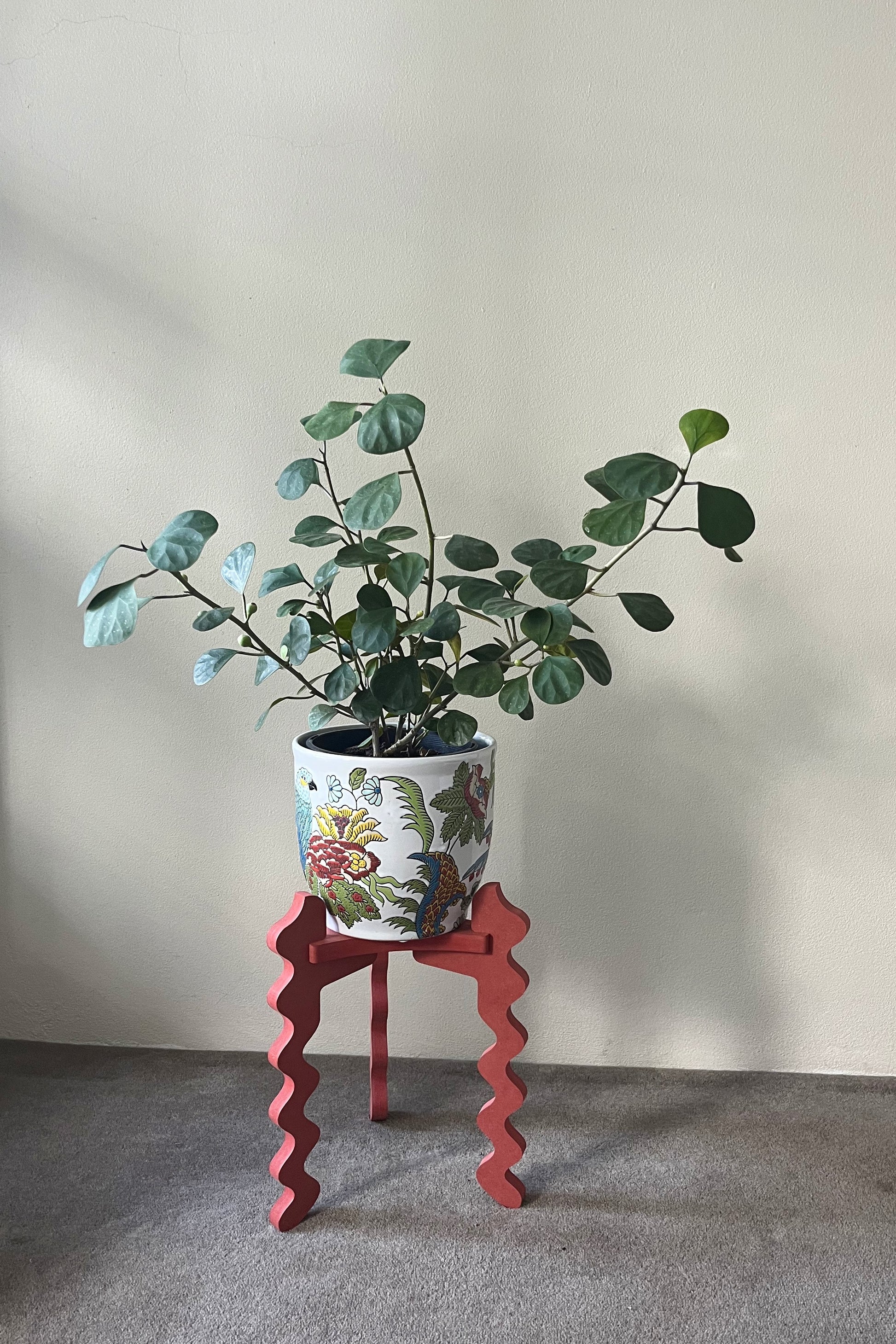 Potted plant on a decorative red Xigglie Poppy Trio  Plant Stand against a plain wall