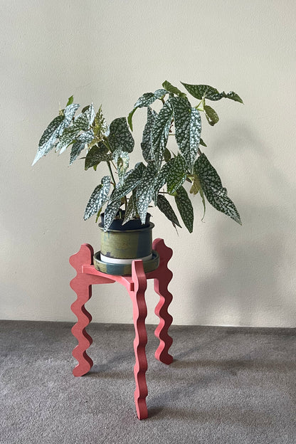 Potted plant on a decorative red Xigglie Poppy Trio  Plant Stand against a plain wall