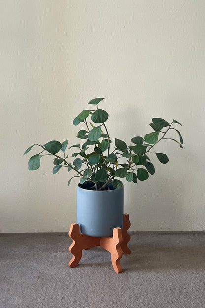 A potted plant on an orange wavy Xigglie Mango Low Rider Plant Stand against a plain wall.