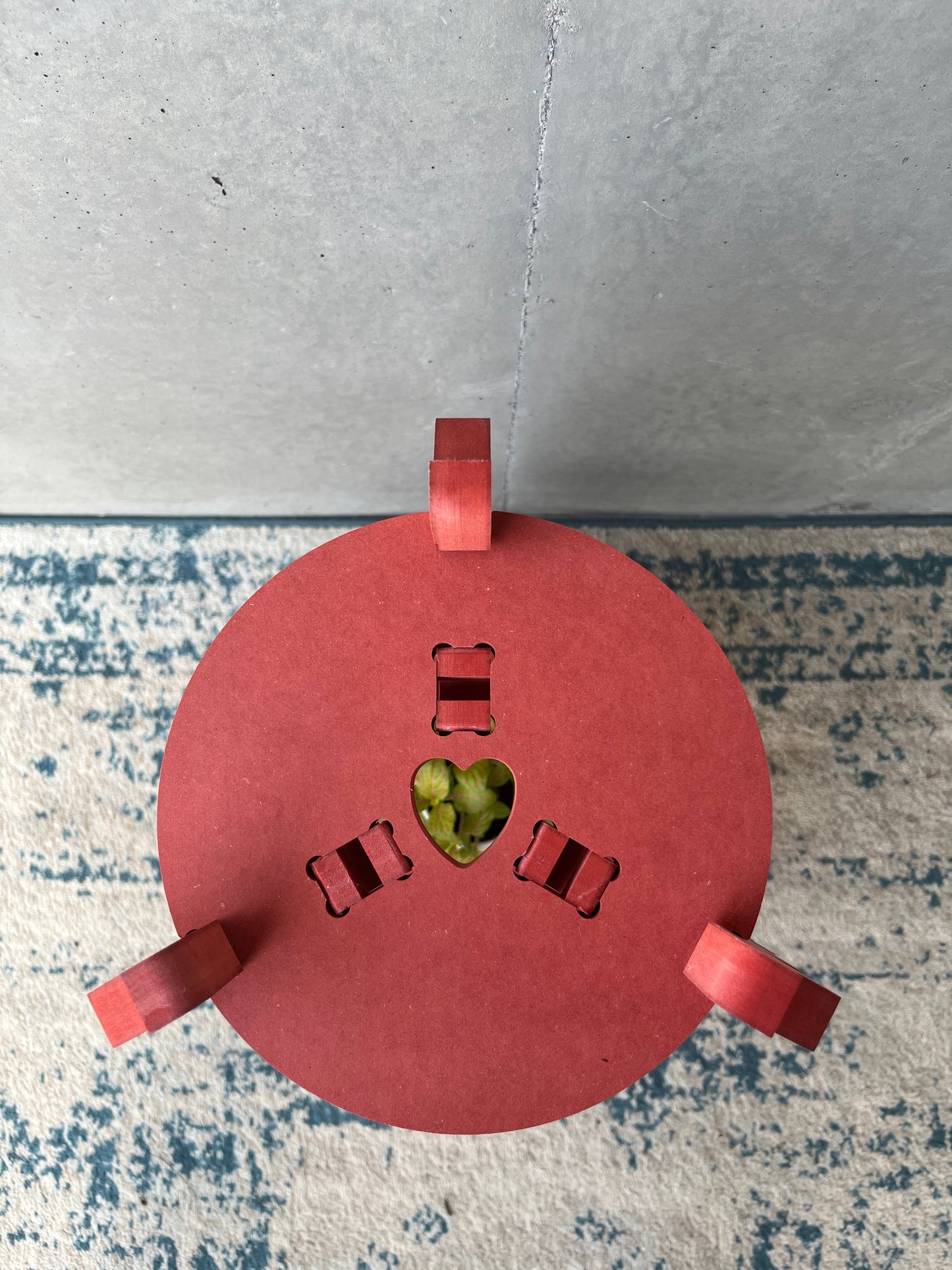 Valentines Special Edition