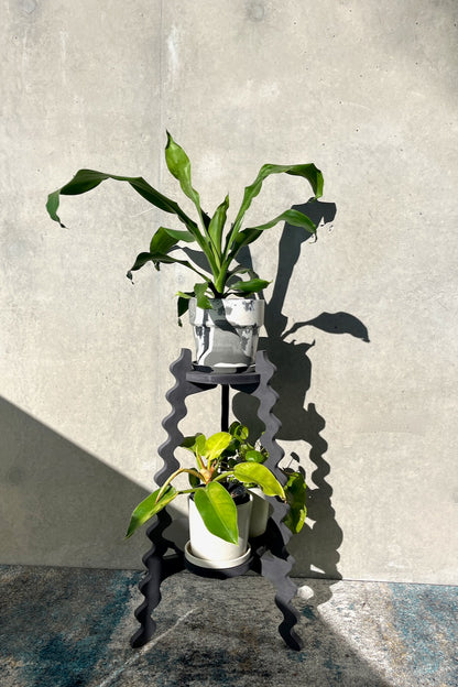 Pepper - Two-Up