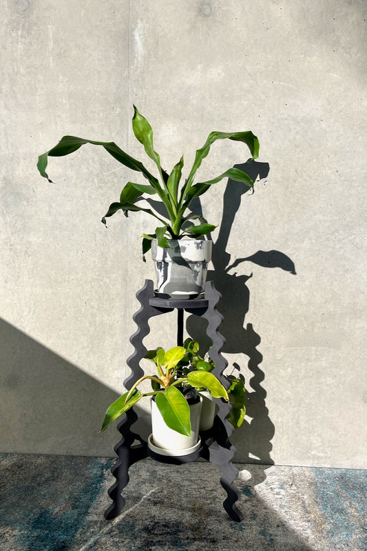 Pepper - Two-Up