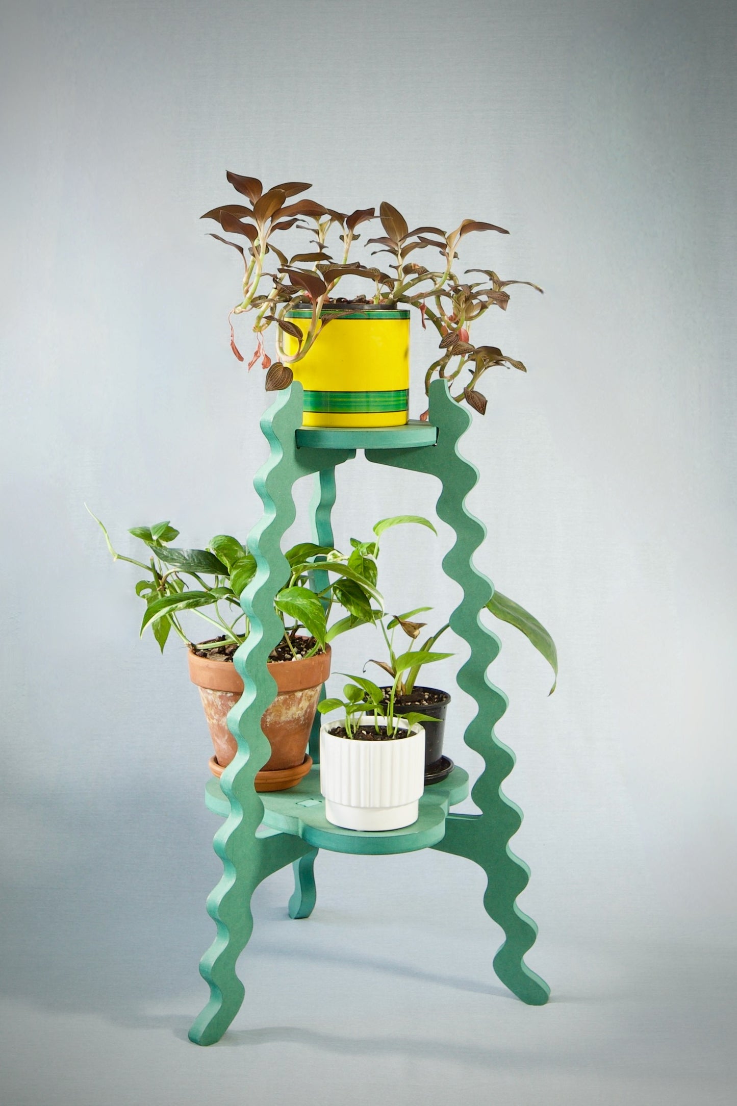 A Xigglie Sage Two-Up Plant Stand. Australian designed and made in green moisture-resistant MDF, supporting plants in various coloured pots.