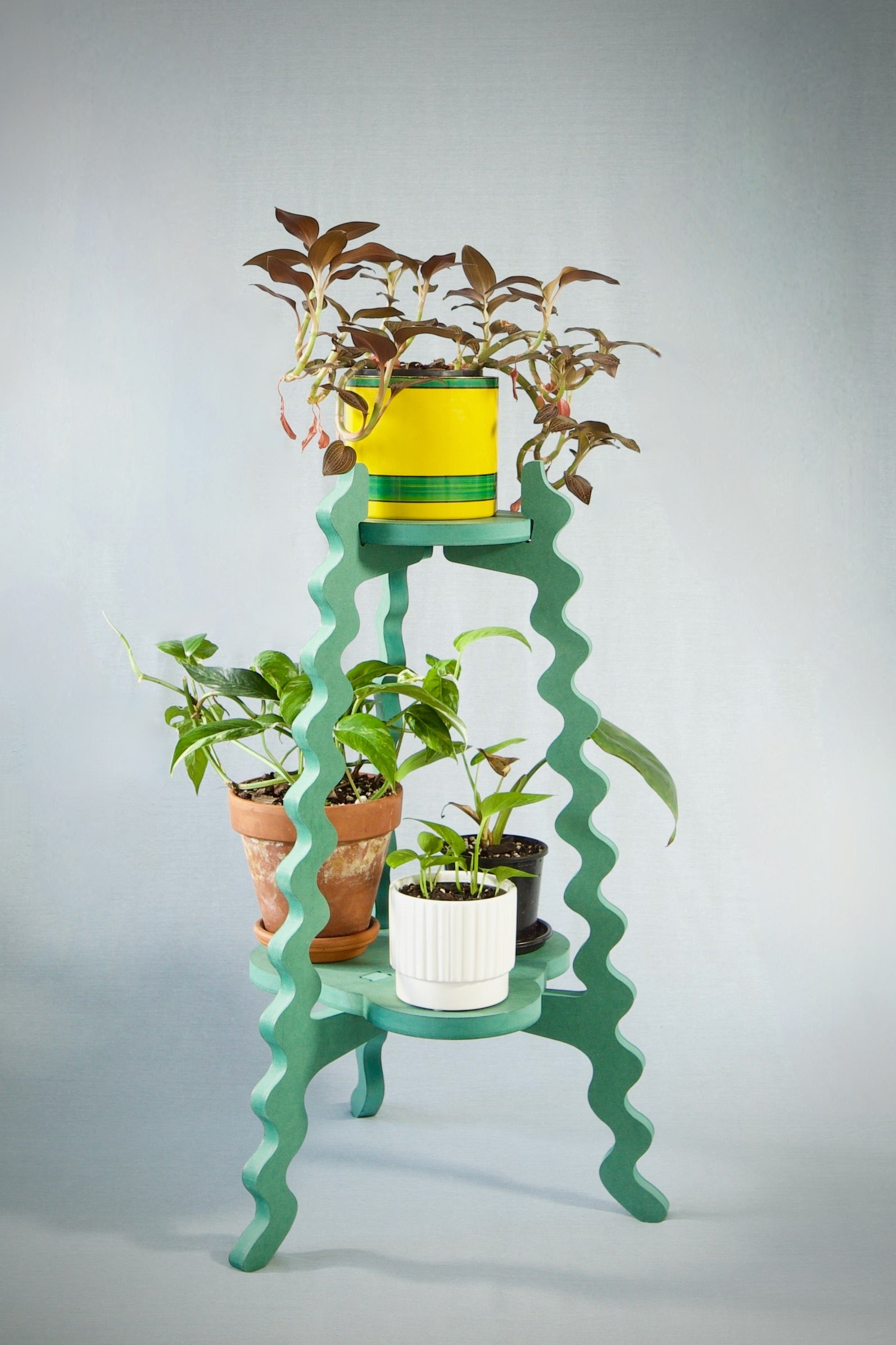 A Xigglie Sage Two-Up Plant Stand. Australian designed and made in green moisture-resistant MDF, supporting plants in various coloured pots.