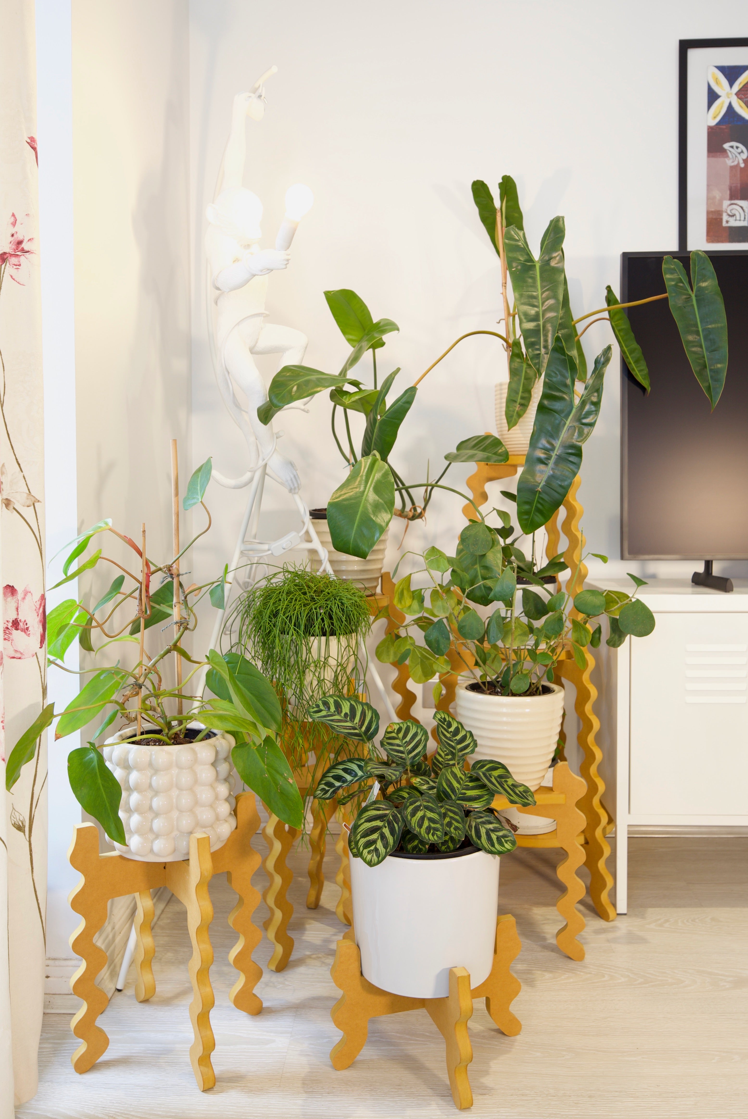 Xigglie Australian designed and made indoor plant stands from Saffron Collection. Made in yellow moisture resistant colour MDF.