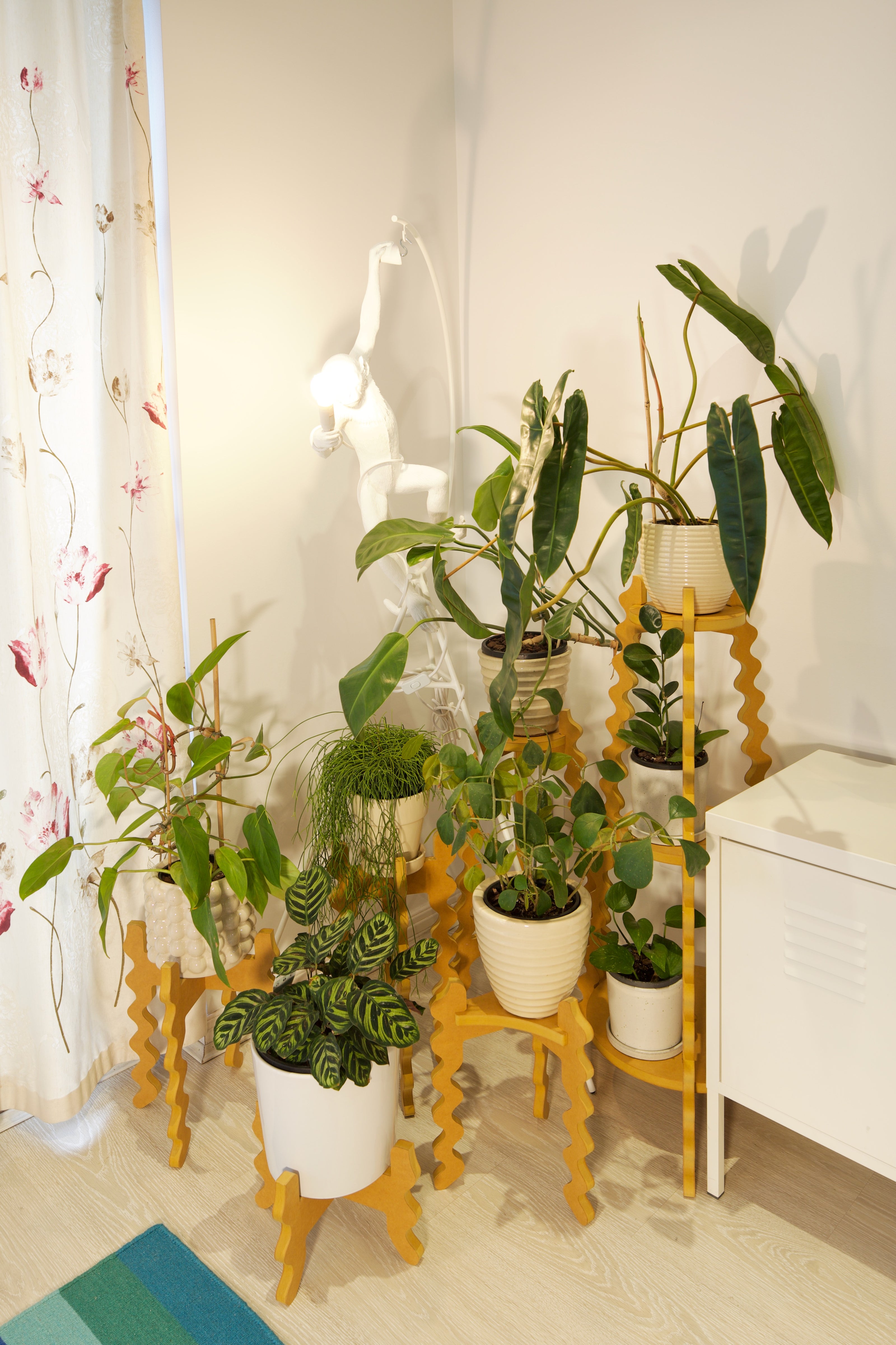 Xigglie Australian designed and made indoor plant stands from Saffron Collection. Made in yellow moisture resistant colour MDF.