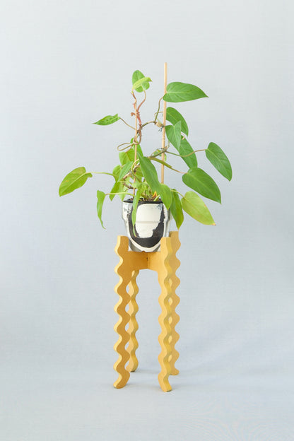 Xigglie Saffron Tallboy Skinny Plant Stand. Australian designed and made in yellow moisture resistant MDF. Supporting plant in black & white pot.