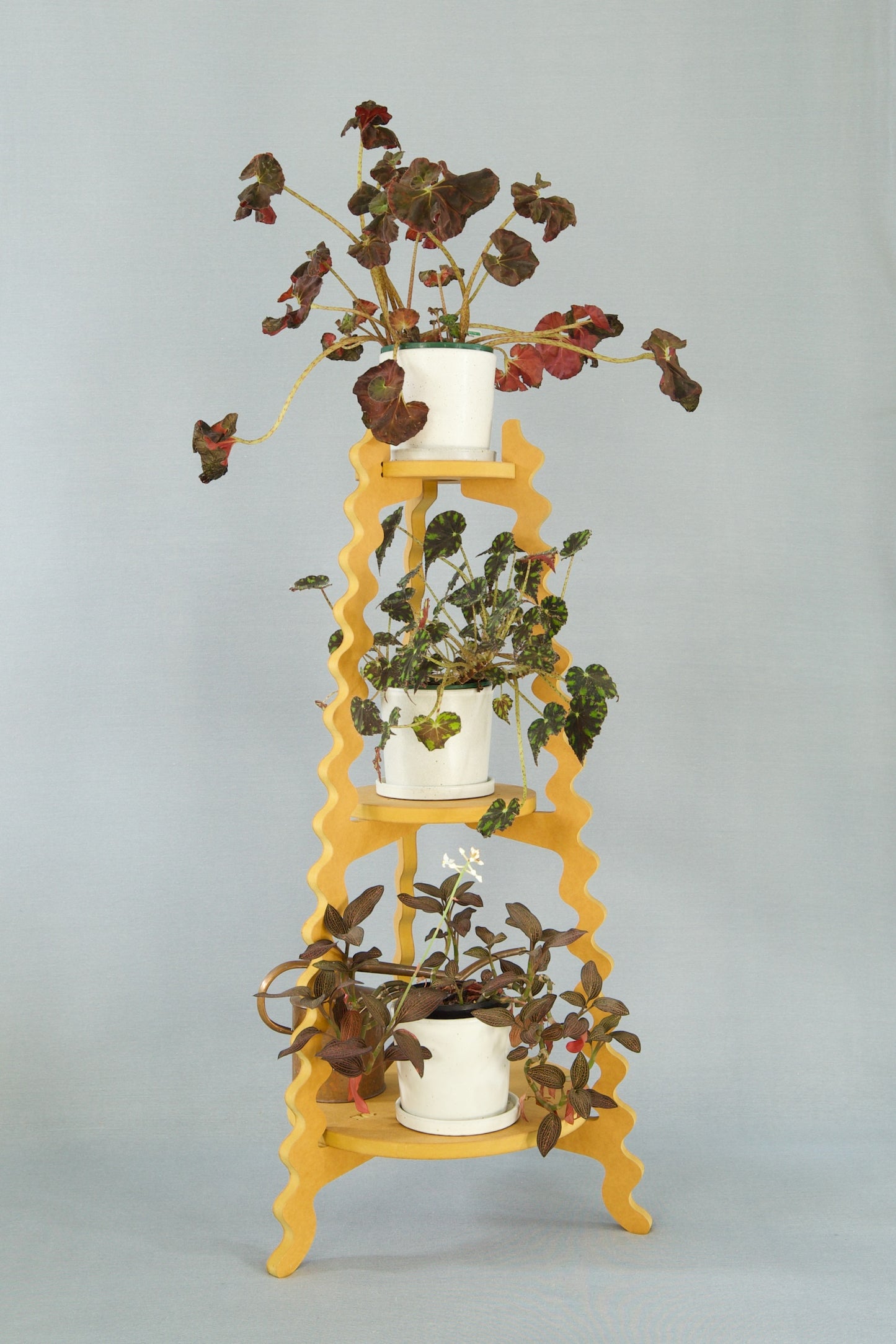 A Xigglie Saffron Threezy Plant Stand. Australian designed and made in yellow moisture-resistant MDF. 3 tiers supporting plants in pots.