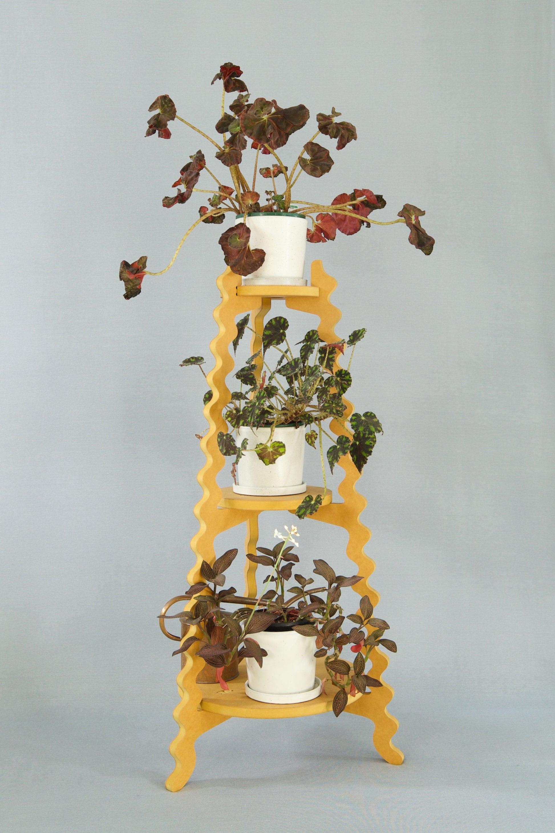 A Xigglie Saffron Threezy Plant Stand. Australian designed and made in yellow moisture-resistant MDF. 3 tiers supporting plants in pots.