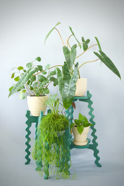 Three Xigglie Sage Collection Plant Stands.  Australian designed and made in green moisture-resistant MDF, supporting a plants in pots.