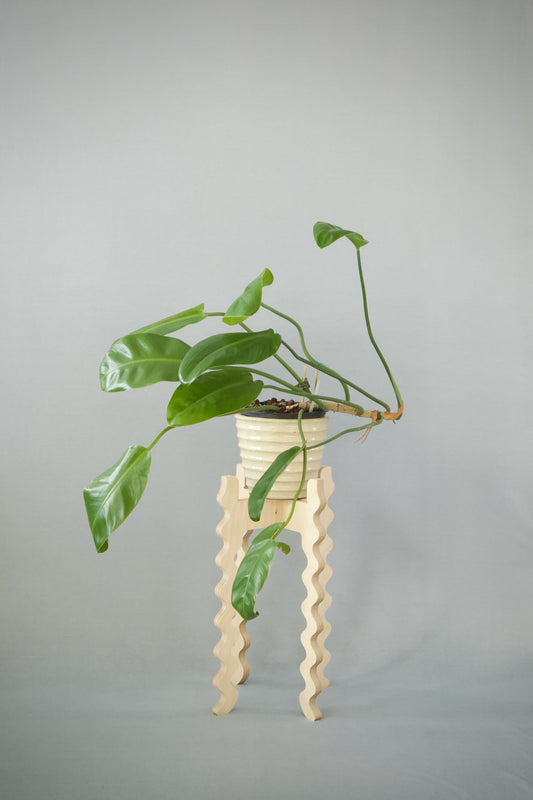 A Xigglie Birch Tallboy Skinny Plant Stand. Australian designed and made in FSC Birch Plywood, supporting plant in ceramic pot.
