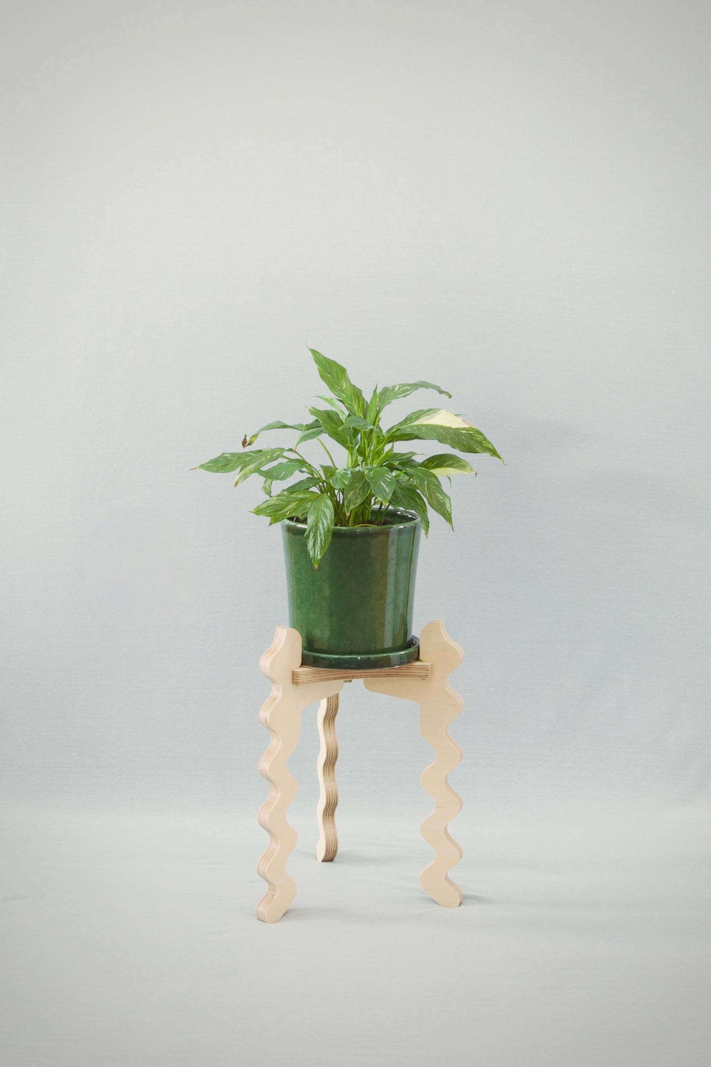 A Xigglie Birch Trio Plant Stand. Australian designed and made in FSC Birch Plywood, supporting plant in green ceramic pot.
