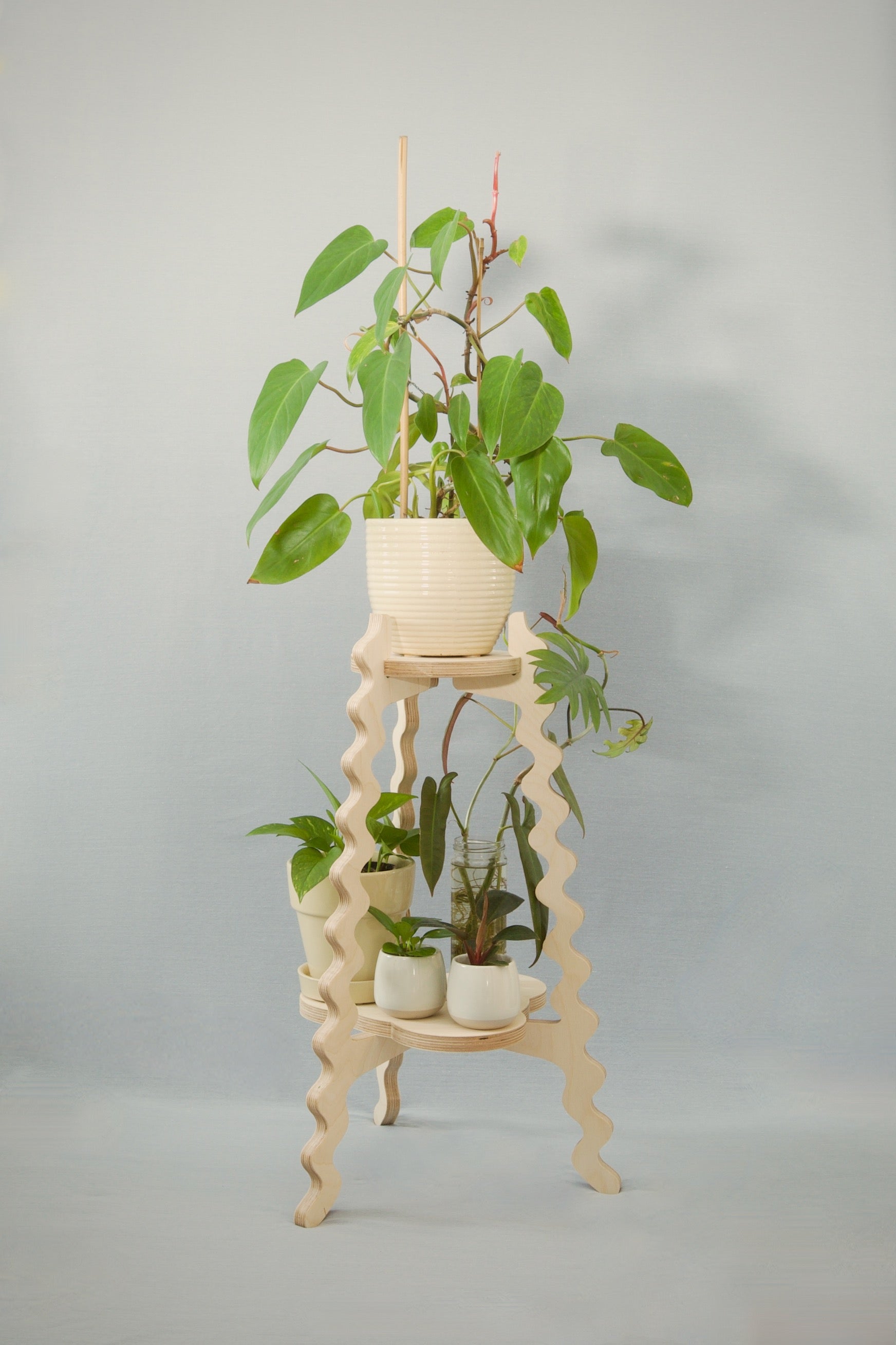 A Xigglie Birch Two-Up Plant Stand. Australian designed and made in FSC Birch Plywood, supporting plants in ceramic pots.
