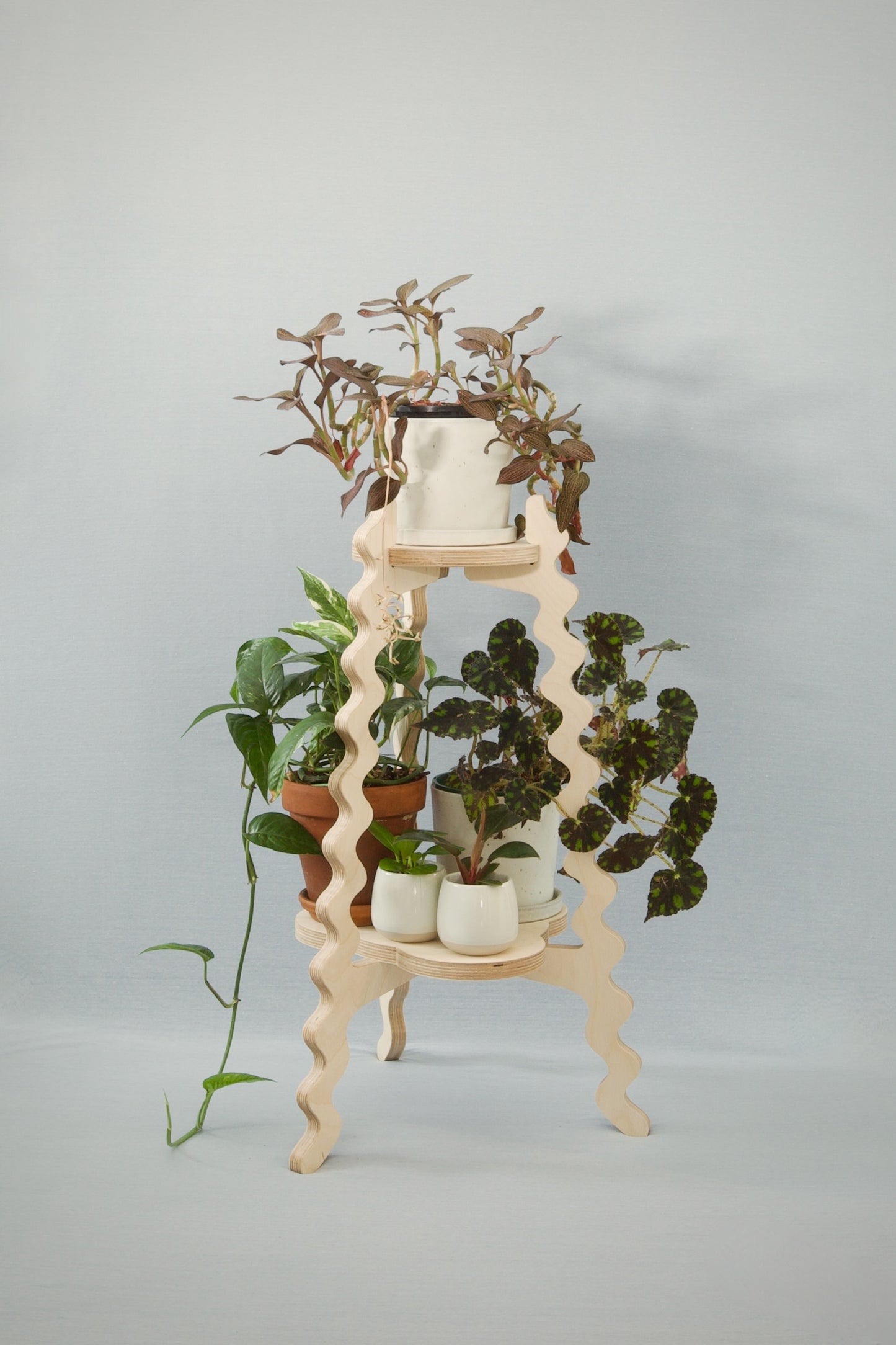 A Xigglie Birch Two-Up Plant Stand. Australian designed and made in FSC Birch Plywood, supporting plants in ceramic pots.