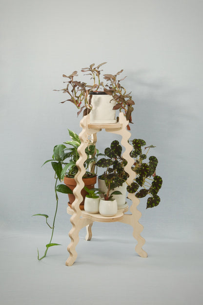 A Xigglie Birch Two-Up Plant Stand. Australian designed and made in FSC Birch Plywood, supporting plants in ceramic pots.