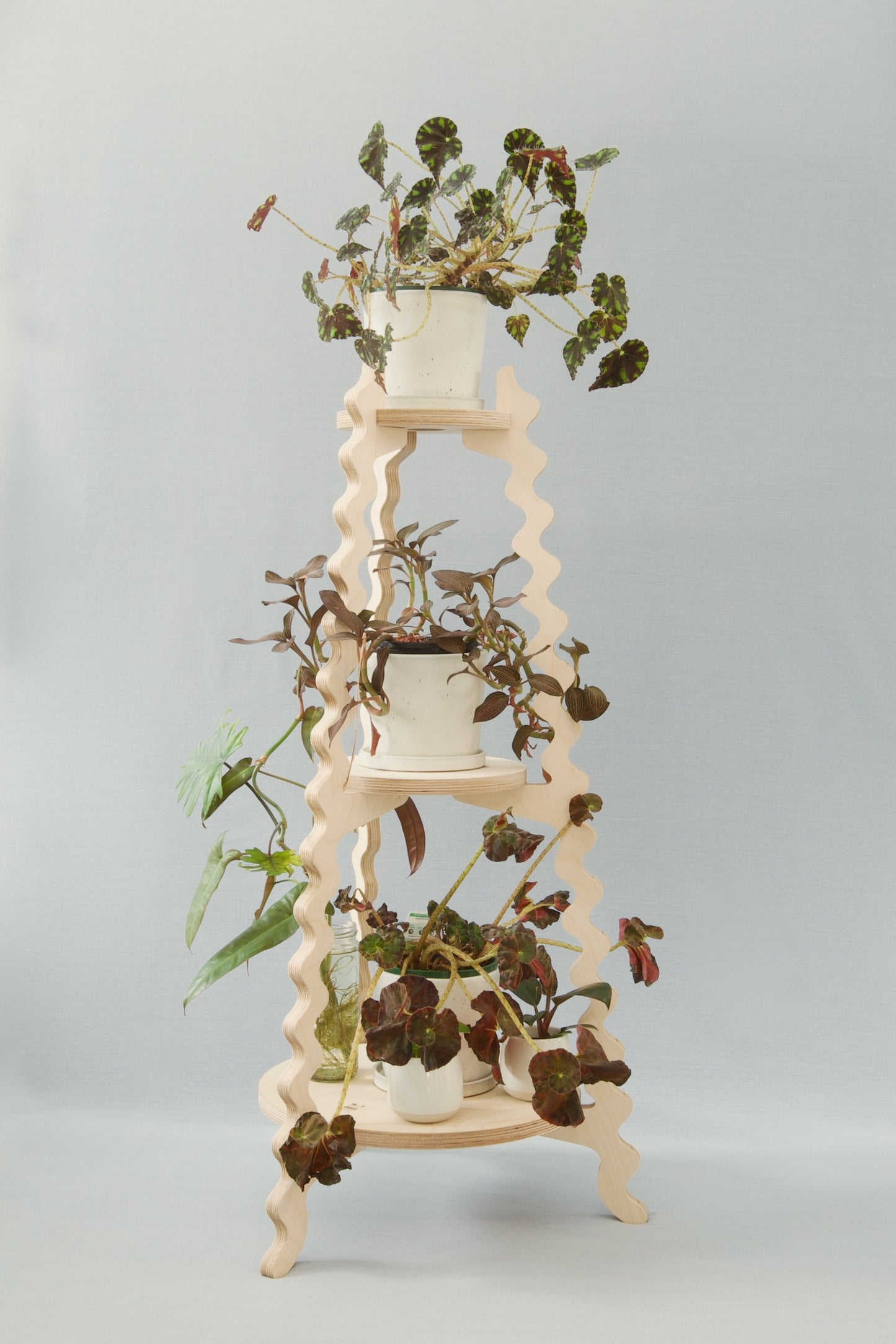 A Xigglie Birch Threezy Plant Stand. Australian designed and made in FSC Birch Plywood, 3 tiers supporting plants in ceramic pots.
