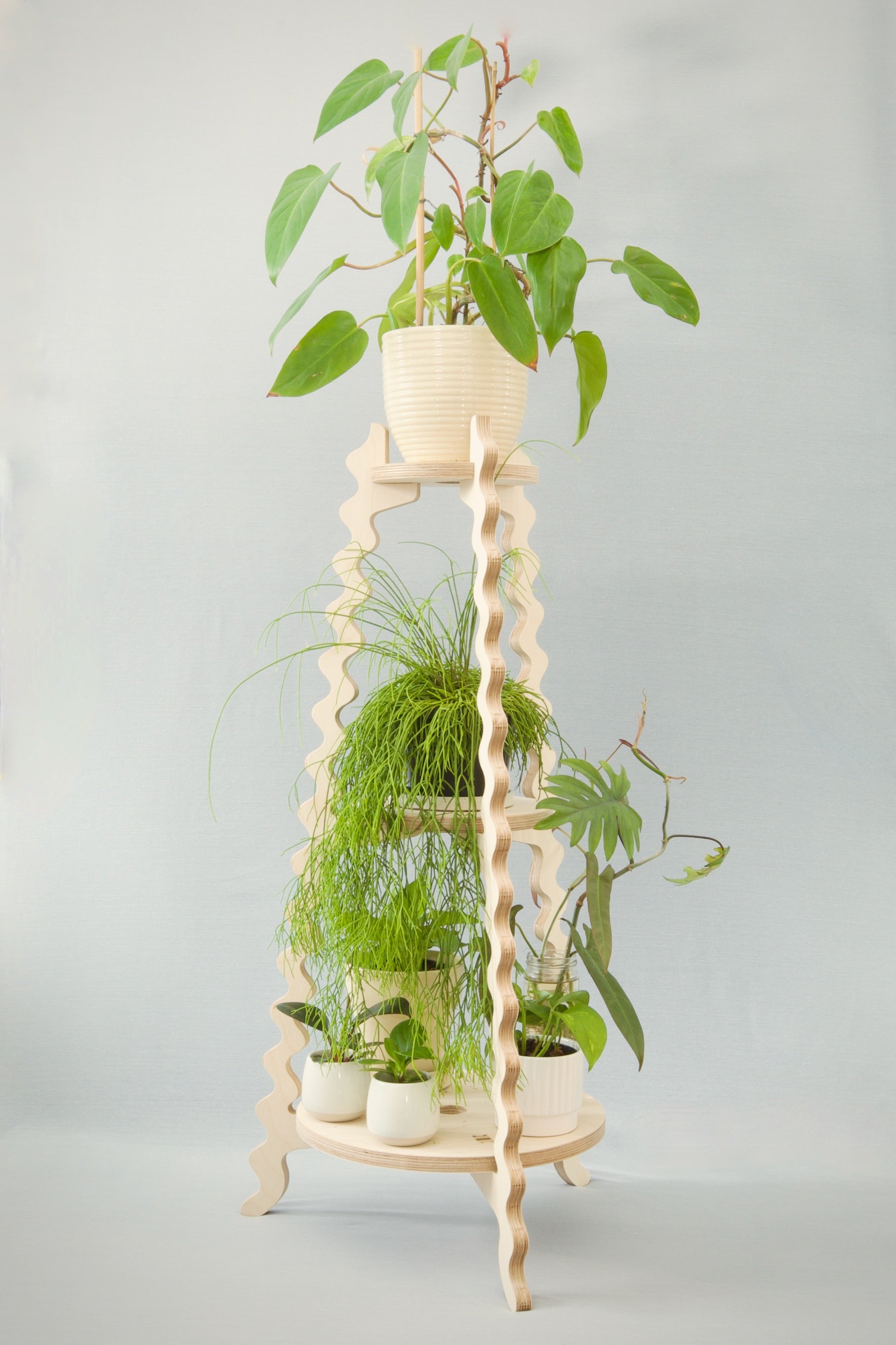 A Xigglie Birch Threezy Plant Stand. Australian designed and made in FSC Birch Plywood, 3 tiers supporting plants in ceramic pots.