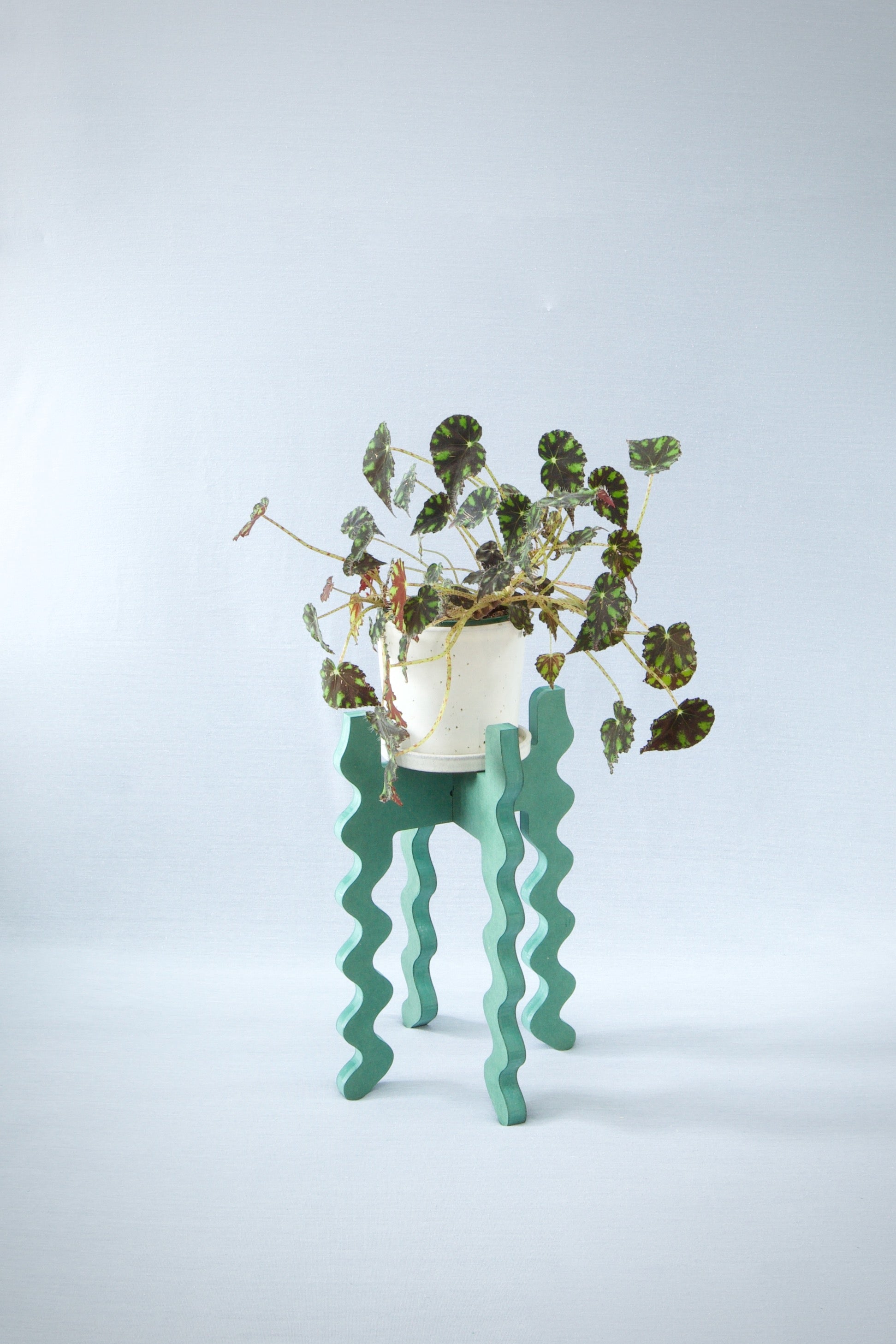 A Xigglie Sage Middie Skinny Plant Stand. Australian designed and made in green moisture-resistant MDF, supporting plant in ceramic pot.