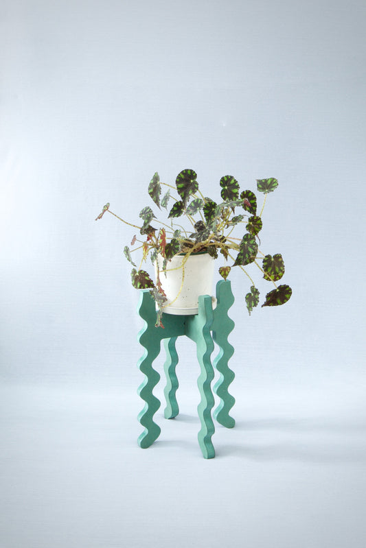 A Xigglie Sage Middie Skinny Plant Stand. Australian designed and made in green moisture-resistant MDF, supporting plant in ceramic pot.