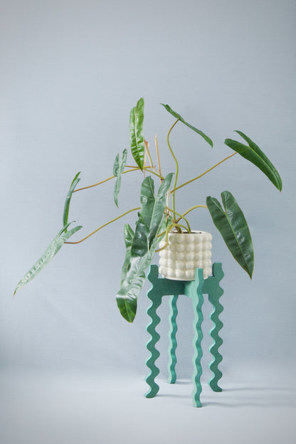 A Xigglie Sage Tallboy Wide Plant Stand. Australian designed and made in green moisture-resistant MDF, supporting plant in ceramic pot.