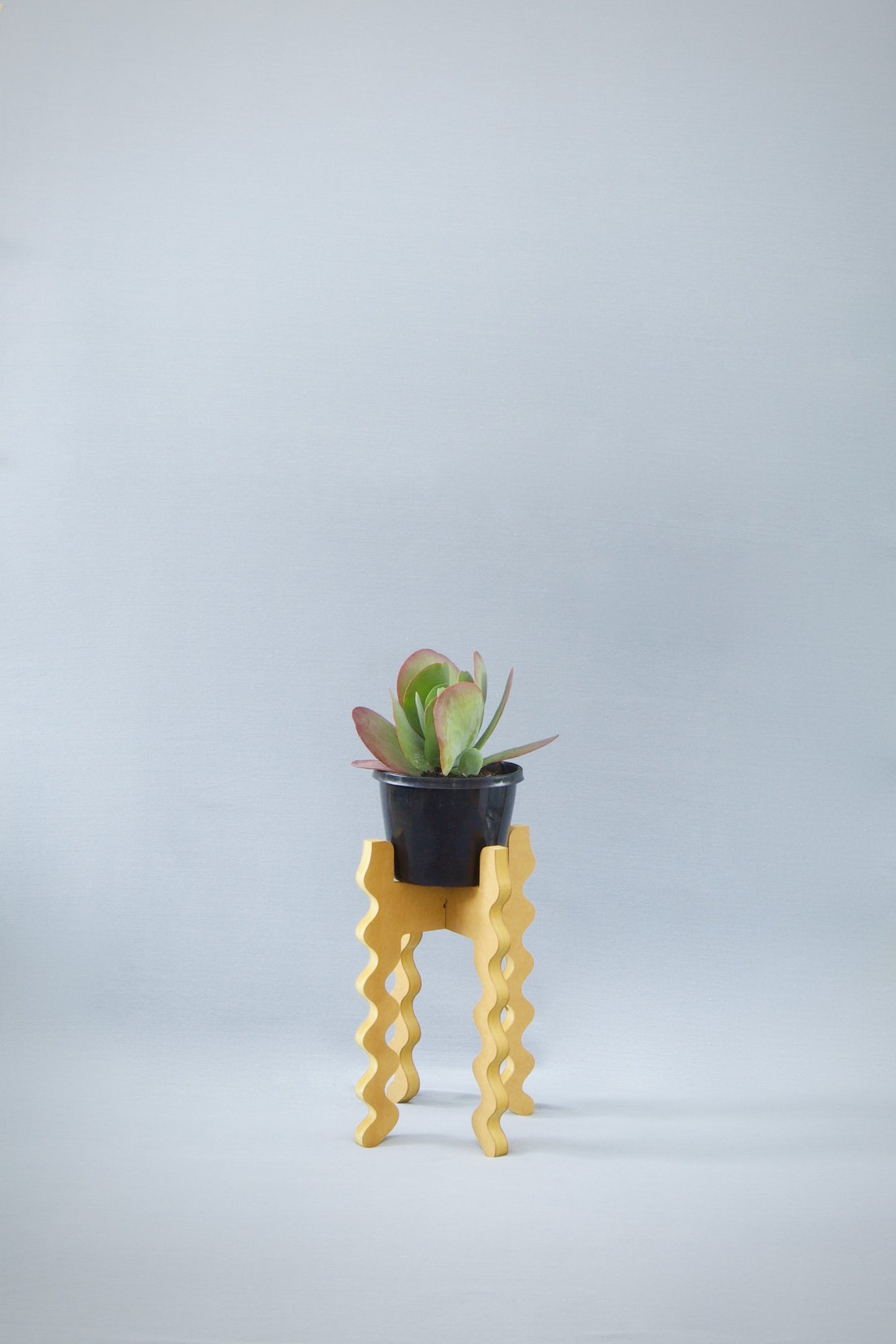 A Xigglie Saffron Middie Skinny Plant Stand. Australian designed and made in yellow moisture-resistant MDF, supporting a plant & pot.