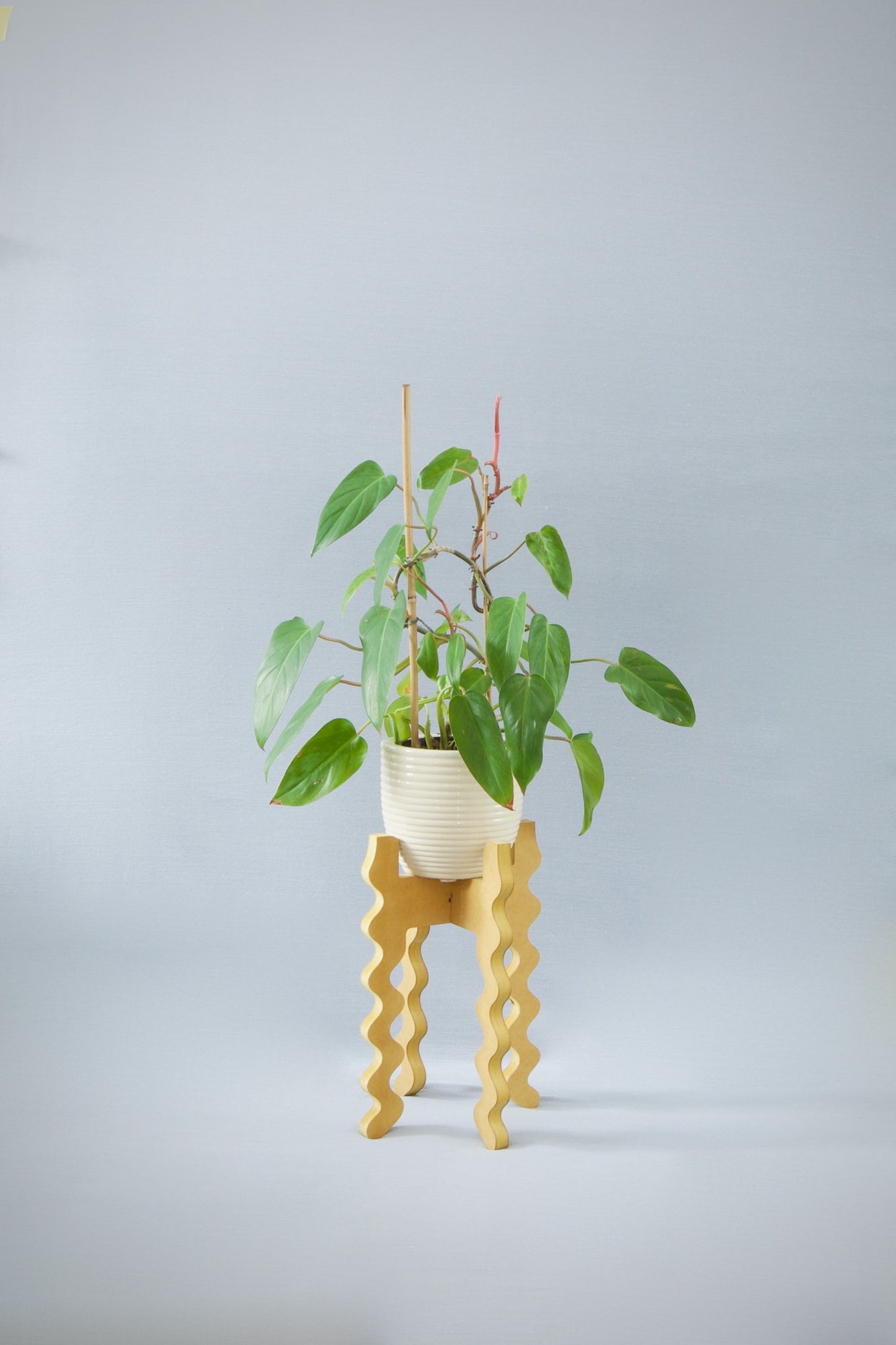 A Xigglie Saffron Middie Skinny Plant Stand. Australian designed and made in yellow moisture-resistant MDF, supporting a plant & pot.