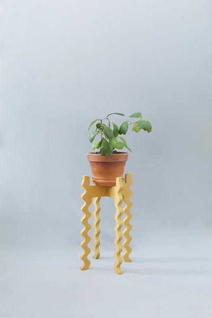 A Xigglie Saffron Tallboy Wide Plant Stand. Australian designed and made in moisture-resistant MDF, supporting a plant & terracotta pot.