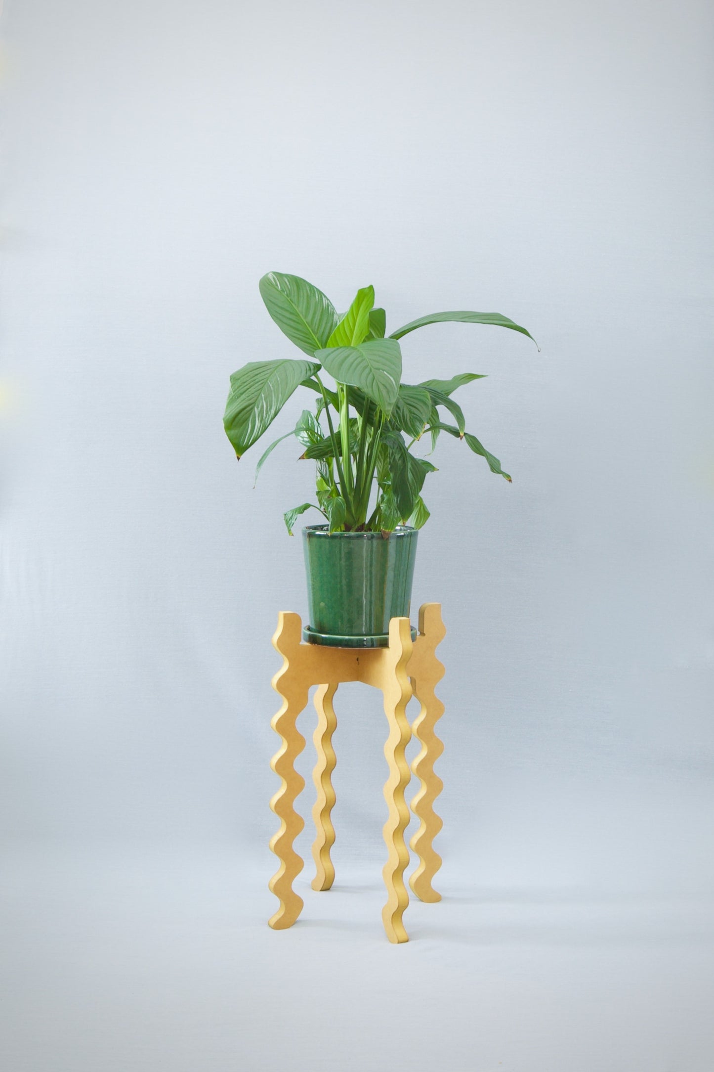 A Xigglie Saffron Tallboy Wide Plant Stand. Australian designed and made in moisture-resistant MDF, supporting a plant & green pot.