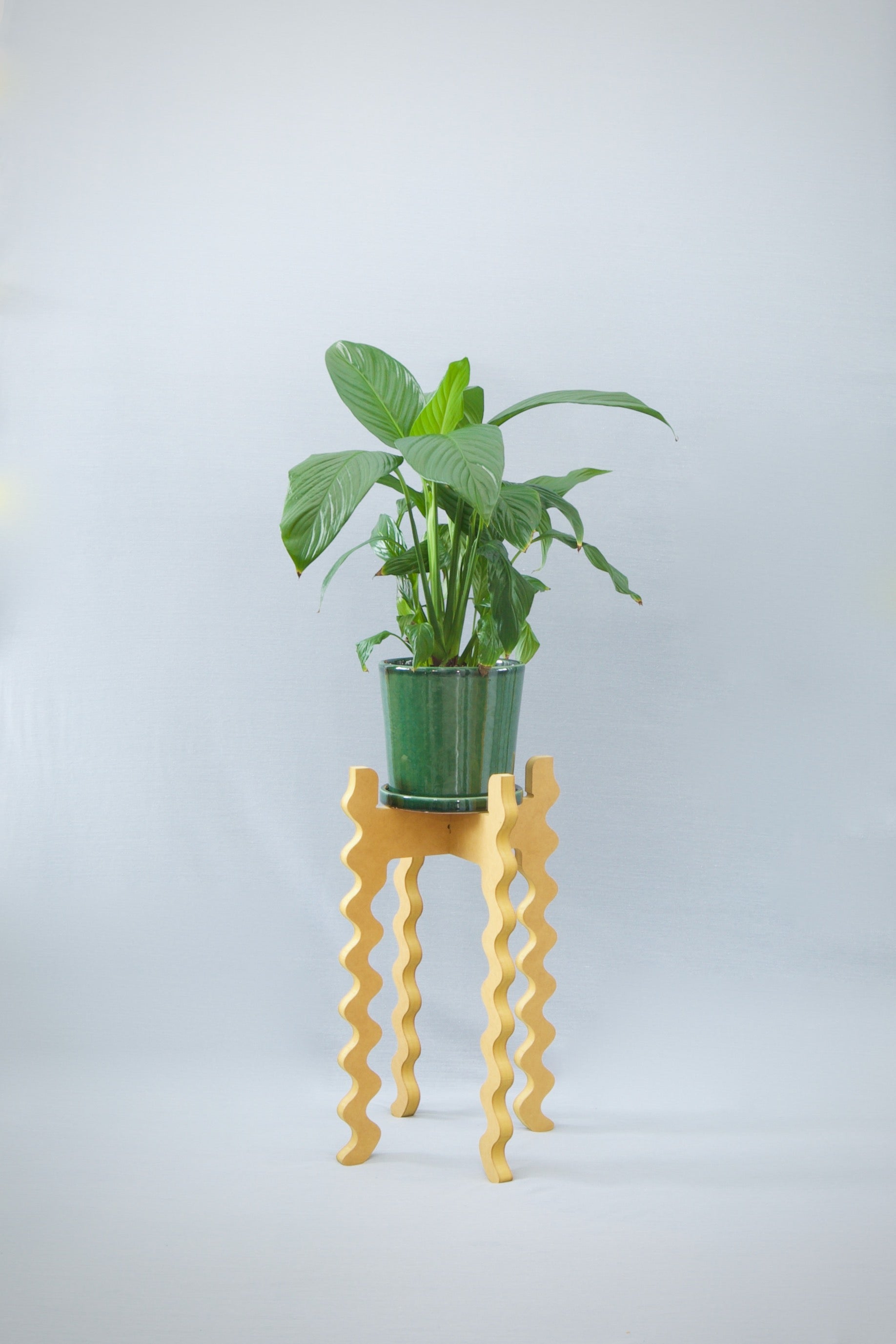 A Xigglie Saffron Tallboy Wide Plant Stand. Australian designed and made in moisture-resistant MDF, supporting a plant & green pot.